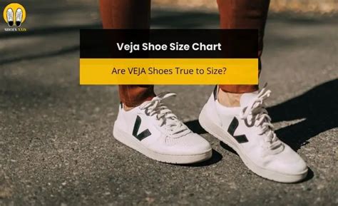 is veja true to size.